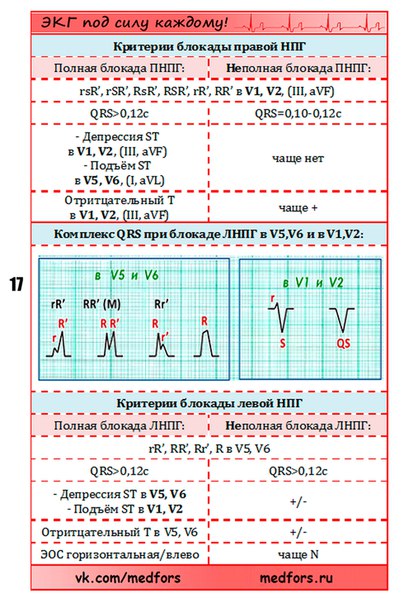 экг под силу каждому pdf